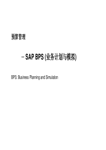 SAPBPS(业务计划与模拟)