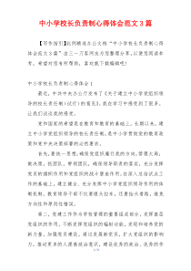 中小学校长负责制心得体会范文3篇