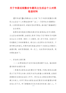 关于市委巡视整改专题民主生活会个人对照检查材料