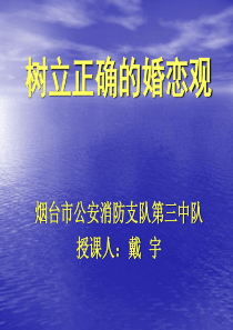 婚恋观教育