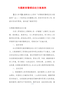 专题教育整顿活动方案案例