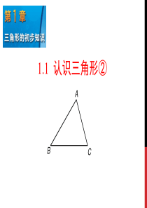 浙教版八上1.1认识三角形2