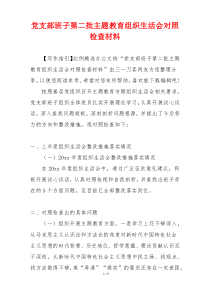 党支部班子第二批主题教育组织生活会对照检查材料