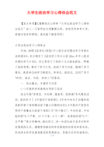 大学生政治学习心得体会范文