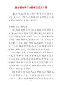 青年理论学习心得体会范文3篇