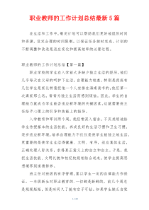 职业教师的工作计划总结最新5篇