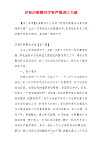 巡视巡察整改方案详情通用5篇