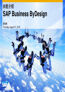 SAPBusinessByDesign介绍