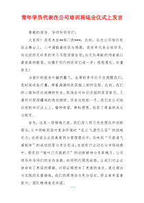 青年学员代表在公司培训班结业仪式上发言