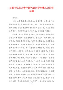 县委书记在共青年团代表大会开幕式上的讲话稿