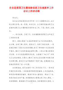 在全县爱国卫生暨迎接省级卫生城复审工作会议上的讲话稿