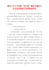 国有上市公司巡察“回头看”整改专题民主生活会党委班子对照检查材料