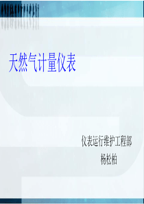 燃气表(杨松柏)