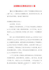 巡视整改反馈表态发言3篇