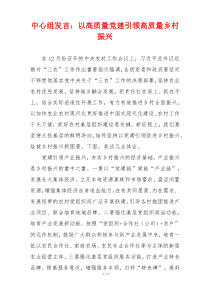 中心组发言：以高质量党建引领高质量乡村振兴