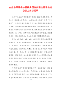 在生态环境保护督察典型案例整改现场推进会议上的讲话稿