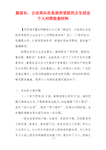 副县长、公安局长在县政府党组民主生活会个人对照检查材料