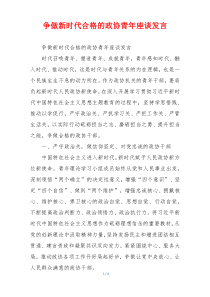 争做新时代合格的政协青年座谈发言