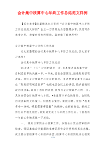 会计集中核算中心年终工作总结范文样例