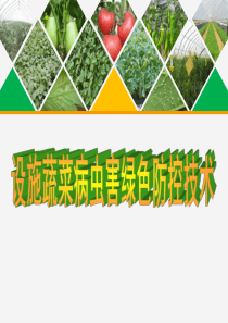 设施蔬菜绿色防控技术