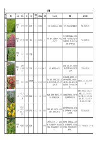 地被类植物表