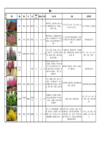灌木类植物表