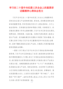 学习在二十届中央纪委三次全会上的重要讲话稿精神心得体会范文