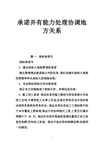 承诺并有能力处理协调地方关系