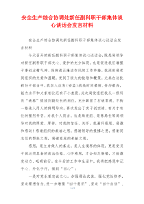 安全生产综合协调处新任副科职干部集体谈心谈话会发言材料