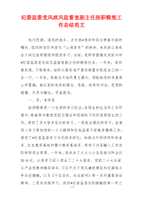 纪委监委党风政风监督室副主任挂职锻炼工作总结范文