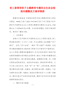 党工委领导班子主题教育专题民主生活会检视问题整改方案详情新