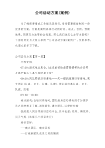 公司活动方案(案例)