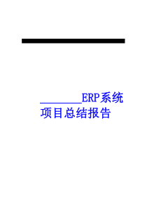 ERP系统项目总结报告