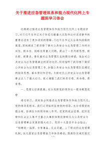 关于推进应急管理体系和能力现代化网上专题班学习体会