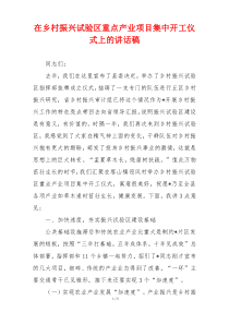 在乡村振兴试验区重点产业项目集中开工仪式上的讲话稿