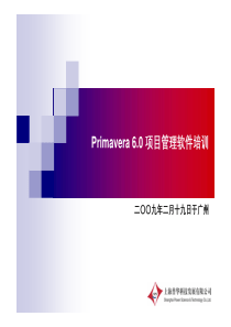 Primavera-P6项目管理软件培训(PDF)