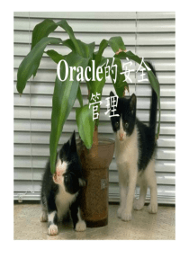 Oracle的安全管理