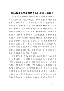 消防救援队伍指挥员专业化培训心得体会