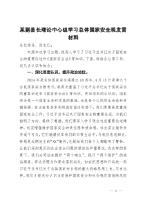 某副县长理论中心组学习总体国家安全观发言材料