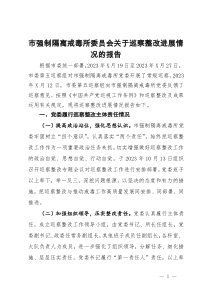 市强制隔离戒毒所委员会关于巡察整改进展情况的报告