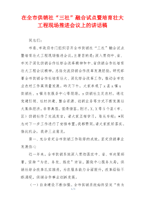 在全市供销社“三社”融合试点暨培育壮大工程现场推进会议上的讲话稿