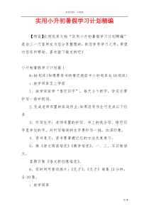 实用小升初暑假学习计划精编