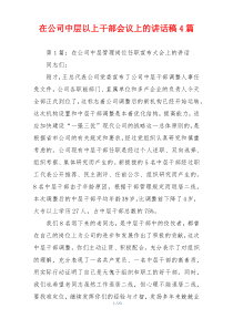 在公司中层以上干部会议上的讲话稿4篇