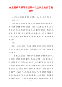 在主题教育领导小组第一次会议上的讲话稿提纲