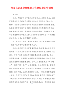 市委书记在全市组织工作会议上的讲话稿