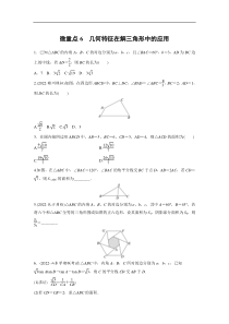 专题2 微重点6　几何特征在解三角形中的应用