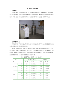 燃气连续自动配气装置