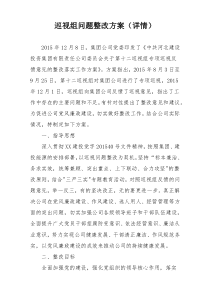 巡视组问题整改方案（详情）