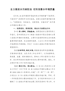 在水环境综合整治推进会上的汇报发言