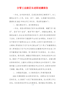 分管工业副区长述职述廉报告